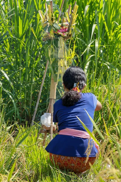 Jovem Realizando Ritual Balinês Menina Balinesa Realiza Uma Cerimônia Uma — Fotografia de Stock