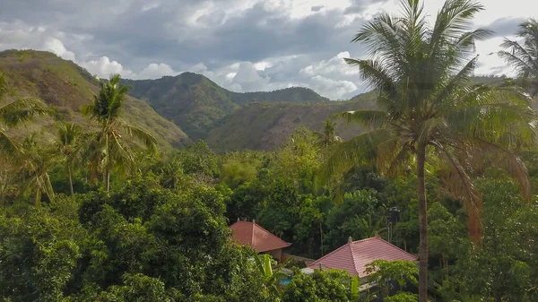 Viviendo Estado Salvaje Bungalow Casas Pequeñas Con Techo Rojo Selva — Foto de Stock