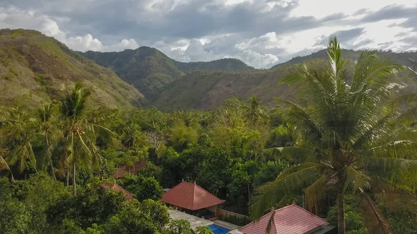 Vadonban Élni Kis Házak Bungaló Piros Tetővel Thai Dzsungelben Koh — Stock Fotó