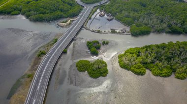 Mandara Karayolu yakınlarındaki Bali 'deki mangrov ormanının havadan görünüşü