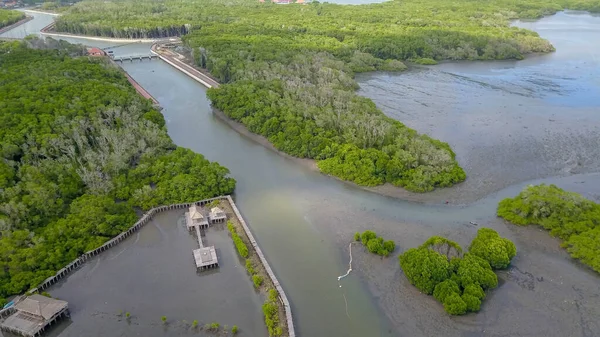 Aerial view drone video of mangroves on Bali island, Indonesia. Serangan island