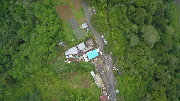 緑のバリの風景 バリ島北部の道路や木々への空中ドローンのトップビュー インドネシア — ストック写真