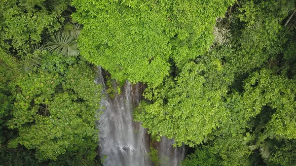 Widok Powietrza Las Rzekę Kierunku Wodospadu Labuhan Kebo Położonego Munduk — Zdjęcie stockowe