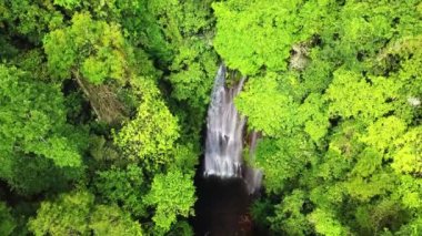 Munduk Ormanı, Bali, Endonezya 'daki Altın Vadi şelalesinin hava statik video görüntüsü.