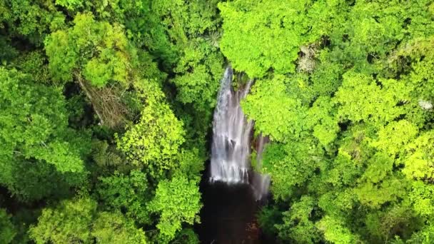 Aerial static video drone shot of the Golden Valley waterfall in the Munduk jungle, Bali, Indonezja — Wideo stockowe