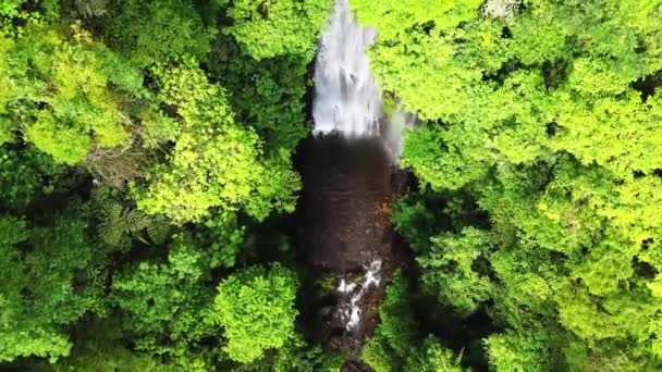 Pemandangan indah lembah dengan kuat sungai dan sungai mengalir dan jatuh. Pemandangan udara air terjun Melenting di Indonesia — Stok Video