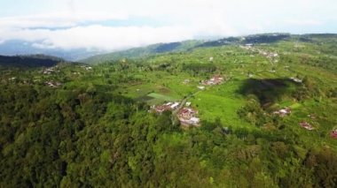 Yeşil Tropik Yağmur Ormanı 'nın Üzerinde Uçmak. Hava 4K İHA 'sı Kuş Gözü Doğal Görünüm Arkaplanı. Bali, Endonezya