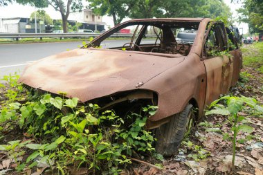 Sarmaşık ve Pinestraw kaplı eski bir araba.