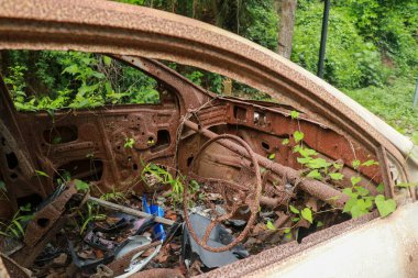 Sarmaşık ve Pinestraw kaplı eski bir araba.