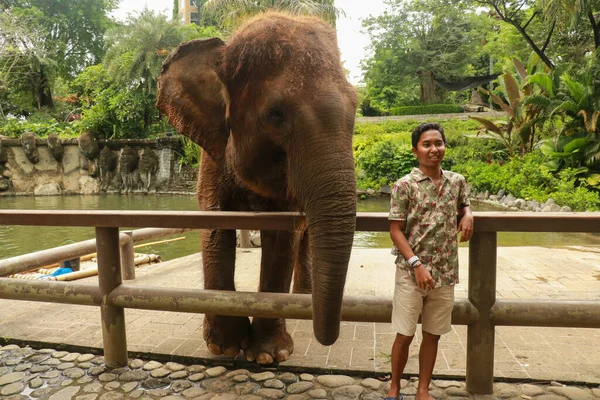Jovem asiático homem com elefante no parque ZOO em Bali, Indonésia — Fotografia de Stock