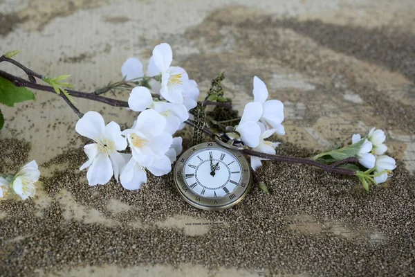 Eski haritadaki retro cep saati ve kiraz çiçeği. Kum plajında klasik saat. Yaz tatili, seyahat konsepti. Kapat. Boşluğu kopyala — Stok fotoğraf