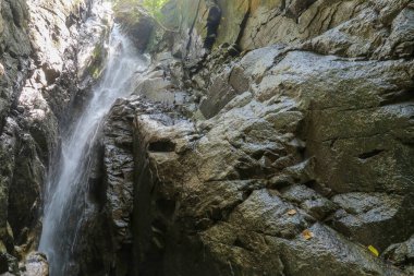 Şelale kadar yakın. Yosun taşlarında çağlayan su