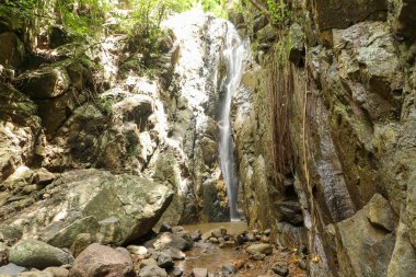 Şelale yağmur ormanlarındaki bir gölete doğru ilerliyor.