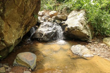 Küçük bir şelalenin manzarası bir kayanın üzerine dökülüyor.