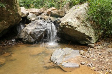 Küçük bir şelalenin manzarası bir kayanın üzerine dökülüyor.