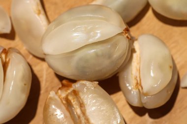 Duku meyve arka planında izole edilmiş Duku ya da lansium paraziti