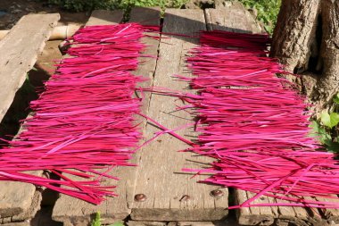 Hindu adakları ve törenleri için renkli sazlıklar. Pembe renkli çimenler....