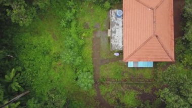 Endonezya, Bali 'de yoğun yeşil bir orman ve renkli bir ev manzarası..