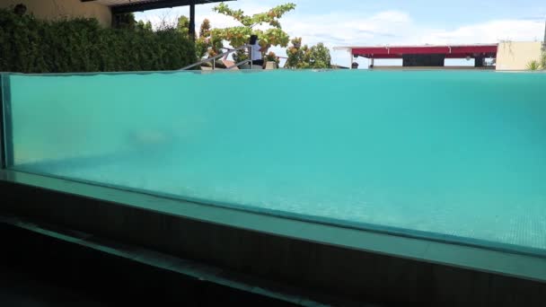 Podwodne zdjęcie białego mężczyzny nurkującego w basenie z przezroczystą szklaną ścianą w hotelu Atanaya. Luksusowa krawędź basenu infinity — Wideo stockowe