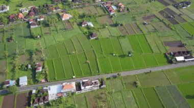 Endonezya 'nın Bali adasındaki yerleşim yerinin ortasındaki su basmış pirinç tarlalarının havadan görünüşü