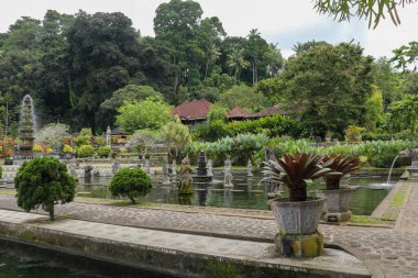 Bali Su Sarayı 'nda çekim. Karangasem' deki Tirta Ganga. Palmiye ağaçları ve tropikal manzaralarla çevrili.