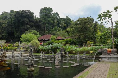 Bali Su Sarayı 'nda çekim. Karangasem' deki Tirta Ganga. Palmiye ağaçları ve tropikal manzaralarla çevrili.