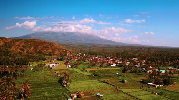 Vuelo matutino en campos de arroz. Vista aérea al volcán Gunung Agung.. Monte Agung - la montaña más alta de Bali en el paisaje de fondo terrazas de arroz — Vídeos de Stock