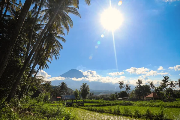 인도네시아 발리에 있는 한 마을의 논에 있는 아각 산의 아름다운 풍경 과 아침 풍경 — 스톡 사진