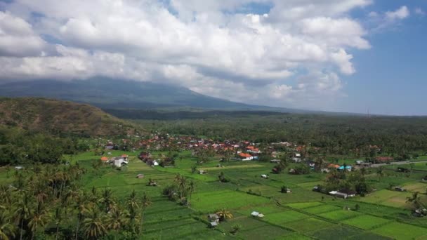 Vuelo matutino en campos de arroz. Vista aérea al volcán Gunung Agung.. Monte Agung - la montaña más alta de Bali en el paisaje de fondo terrazas de arroz — Vídeos de Stock