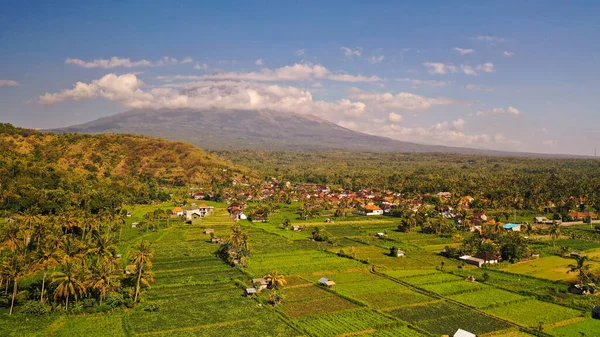 Majestic vulkán Gunung Agung Balin tornyosul magasan a környék felett. A rizsföldeket elárasztotta a víz. Buja trópusi növényzet és dzsungel. Részleges felhőtakaró és kék ég — Stock Fotó