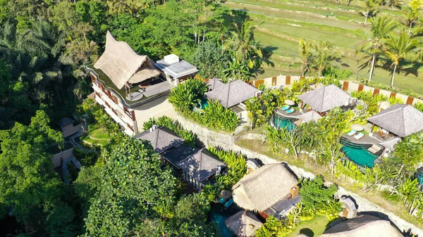 Tropikal ormanlarda ve palmiye ağaçlarında villaları ve havuzu olan lüks otelin havadan görünüşü. Lüks villa, ormandaki pavyon, Ubud, Bali — Stok fotoğraf