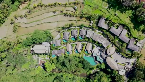 Aerial view hotel Resort Ubud egyike a luxus üdülőhelyek Ubud. Top down kilátás hotel üdülőhely dzsungelben, közel a rizsföldhöz, Bali, Indonézia — Stock videók