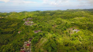 Hava aracı, yeşil yağmur ormanlarını çevreleyen küçük bir köyü güzel bir şekilde görüntülüyor. Nusa Penida, Bali, Endonezya