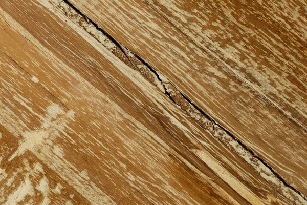 Eski ahşap kabuk dokusu. Soyut sanat arkaplanı