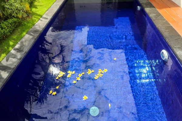 Piscina azul com exótico terraço de madeira em teca piso natural e água azul — Fotografia de Stock