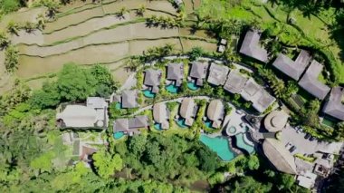 Tropikal ormanlarda ve palmiye ağaçlarında saman çatı villaları ve havuzları olan lüks otel manzarası. Lüks villa, ormandaki pavyon, Ubud, Bali