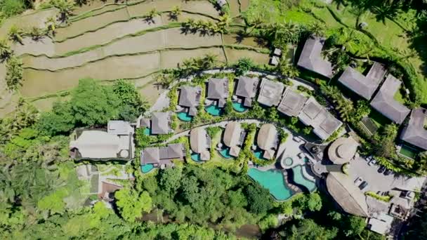 Vol De haut en bas Vue de l'hôtel de luxe avec des villas sur le toit en paille et des piscines dans la jungle tropicale et les palmiers. Luxueuse villa, pavillon en forêt, Ubud, Bali — Video