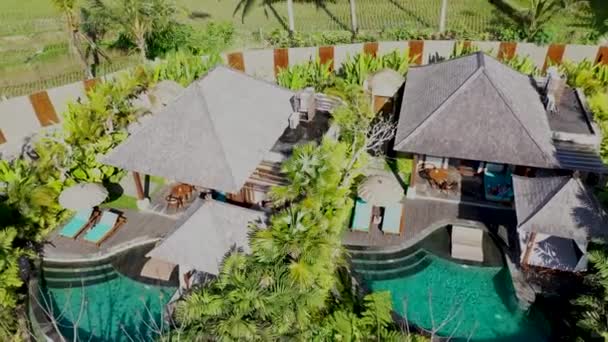 Pemandangan udara hotel mewah dengan atap villa jerami dan kolam di hutan tropis dan pohon palem. Anak muda di sofa di teras. Vila mewah, paviliun di hutan, Ubud, Bali — Stok Video