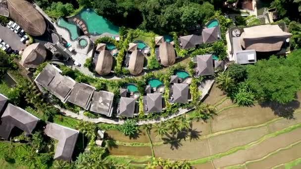 プール付きの美しいリゾートの空中トップダウンビューと小屋の形をテーマにした家や木や緑に囲まれたヴィラ — ストック動画