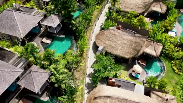 Resort Ubud Adalah Salah Satu Resor Mewah Ubud Atas Bawah — Stok Video