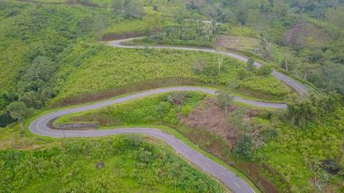 Ende Flores 'te yeşil tarım ve orman manzarası.