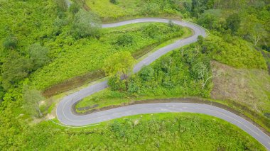 Ende Flores 'te yeşil tarım ve orman manzarası.