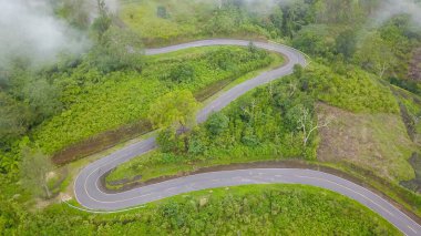 Ende Flores 'te yeşil tarım ve orman manzarası.