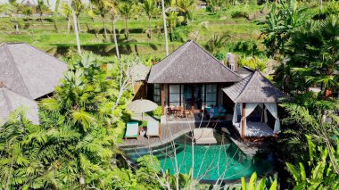 Yaz tatili, plaj tatili, turistler güneşli havuzun yanındaki lüks otelde tatilin tadını çıkarıyor..