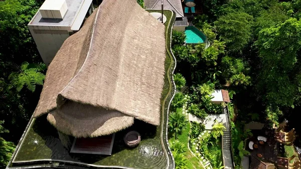 Nsansız Hava Aracı Manzaralı Otel Ubud Ubud Daki Lüks Otellerden — Stok fotoğraf