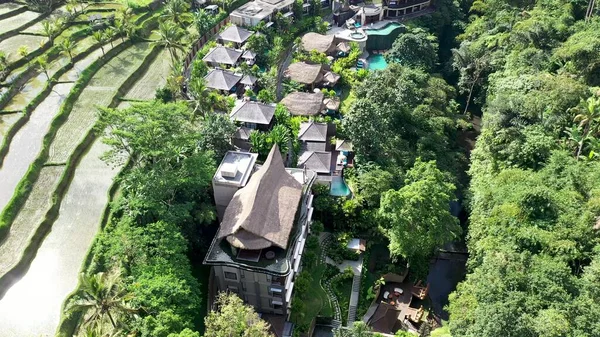 Pemandangan Indah Taman Rekreasi Kompleks Rumah Dengan Kolam Daerah Ekologi — Stok Foto