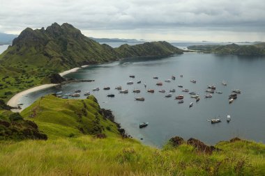 Batı Manggarai 'deki Komodo adalarındaki Padar adasının manzarası..
