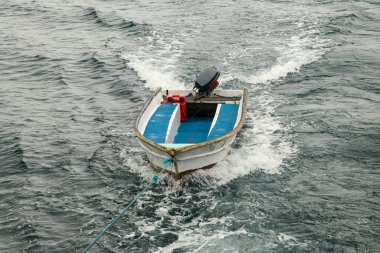 Komodo Ulusal Parkı ve Komodo Ulusal Parkı 'ndaki çimlere yakın durun..