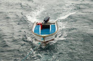 Komodo Ulusal Parkı ve Komodo Ulusal Parkı 'ndaki çimlere yakın durun..