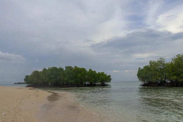 海滩上有细小的黄沙 靠近海岸的印度洋浅海红树林 在平静的海平面之上生长着磁力根和郁郁葱葱的绿树 蓝天白云的背景 — 图库照片